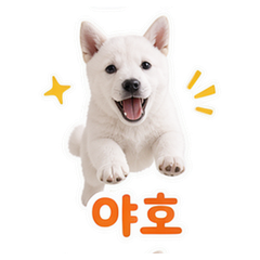 이모티콘 7