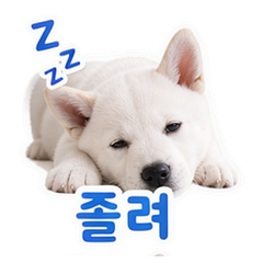 이모티콘 4