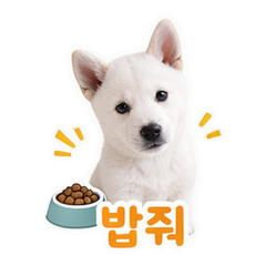 이모티콘 1