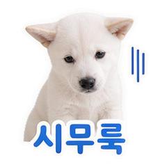 이모티콘 8