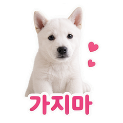 이모티콘 10