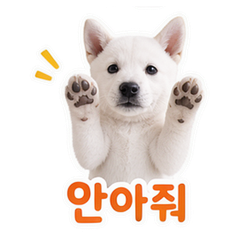 이모티콘 5