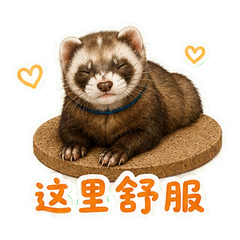 表情 8