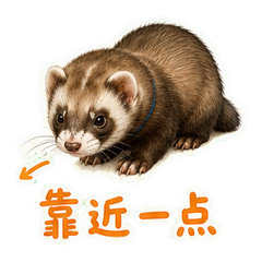 表情 5