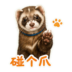 表情 6