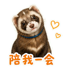 表情 9