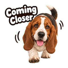 Sticker 7