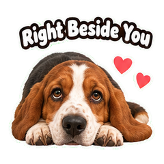 Sticker 11