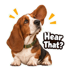 Sticker 5