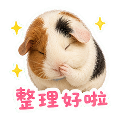 表情 10