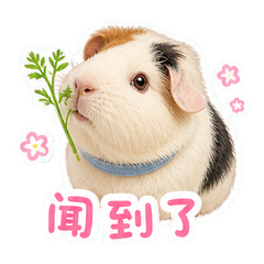 表情 2
