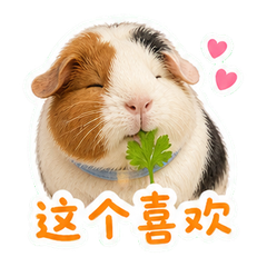 表情 7