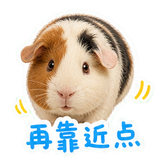 表情 4
