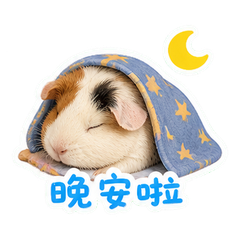 表情 12