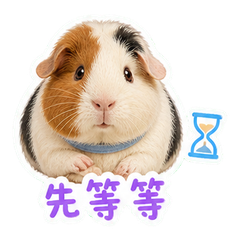 表情 5