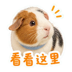 表情 3