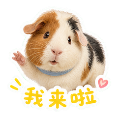 表情 1