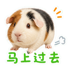 表情 9
