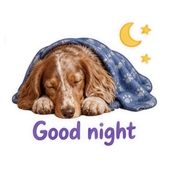 Sticker 12