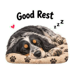 Sticker 12