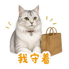 表情 7
