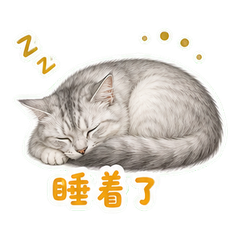 表情 12