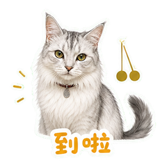 银影猫守钟店 sticker 1