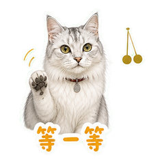 银影猫守钟店 sticker 4