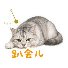 表情 9