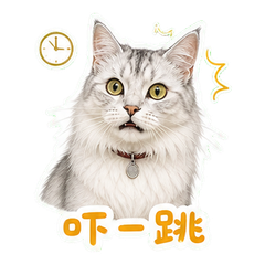表情 5