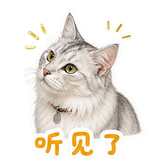 银影猫守钟店 sticker 2