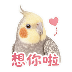 表情 8