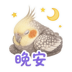 表情 12