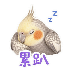 表情 11
