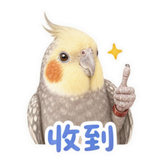 表情 9