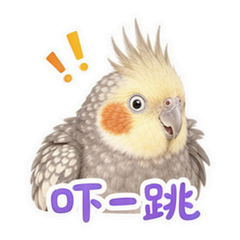 表情 7
