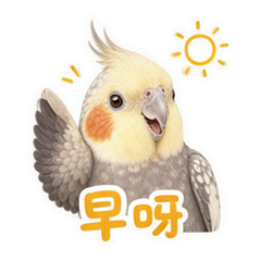 表情 1