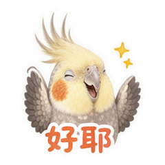 表情 6