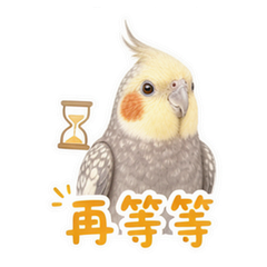 表情 10