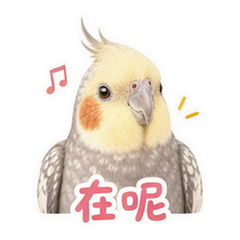 表情 2