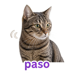 Spanish Pet Reactions #3