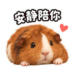 表情 11