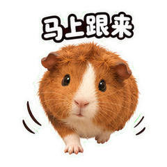 表情 6