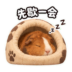 表情 9