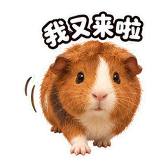 表情 10