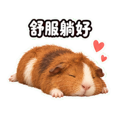 表情 12