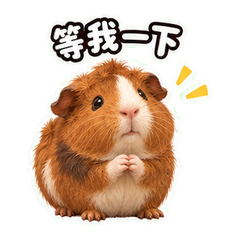 表情 5