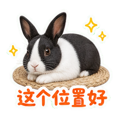 表情 10