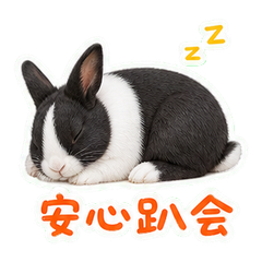 表情 12
