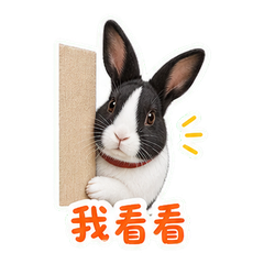 表情 1